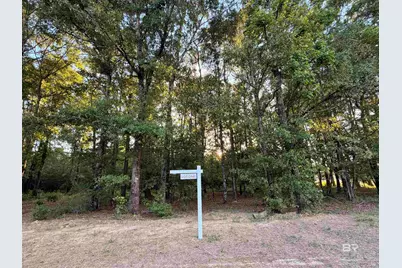 0 Pine Grove Rd Pine Grove Road, Bay Minette, AL 36507 - Photo 2