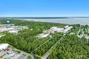 0 Canal Rd, Orange Beach, AL 36561 - Photo 4