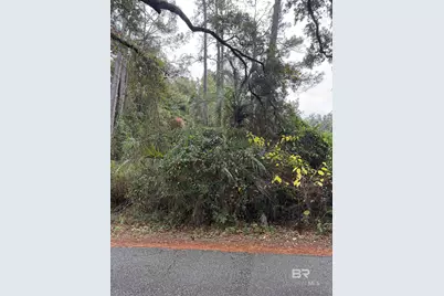 0 Pine Acres Road, Gulf Shores, AL 36542 - Photo 4
