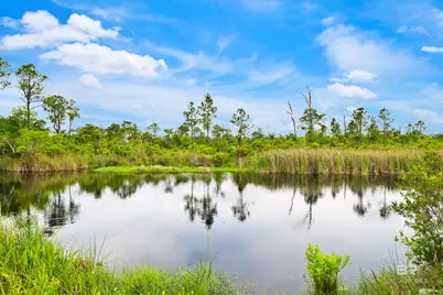 24169 Pepper Lane, Orange Beach, AL 36561 - Photo 42