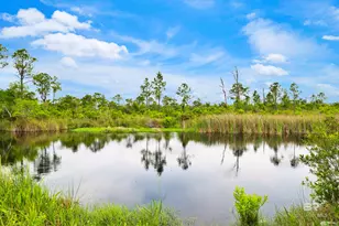 24169 Pepper Ln, Orange Beach, AL 36561 - Photo 42