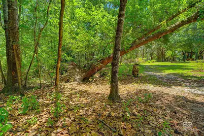 22963 US Highway 98, Foley, AL 36535 - Photo 48