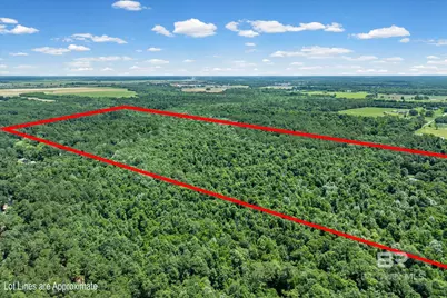 0 Newberry Lane, Foley, AL 36535 - Photo 8