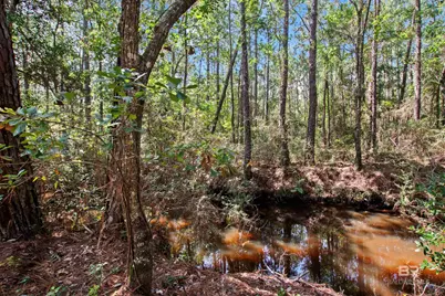 751 Bear Creek Cove, Gulf Shores, AL 36542 - Photo 86