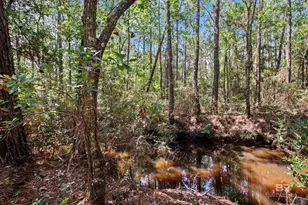 751 Bear Creek Cove, Gulf Shores, AL 36542 - Photo 86