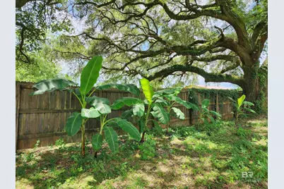 8560 Sadie Court, Grand Bay, AL 36541 - Photo 34