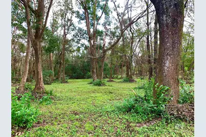 8789 County Road 11, Fairhope, AL 36532 - Photo 4