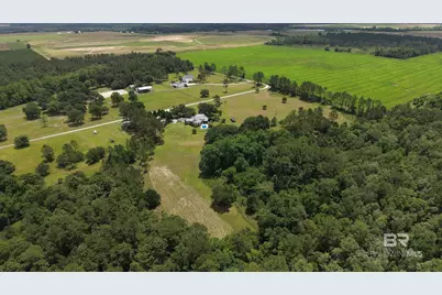 17501 A Francis Harrell Road, Elberta, AL 36530 - Photo 4