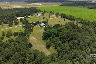 17501 -A Francis Harrell Rd, Elberta, AL 36530 - Photo 4