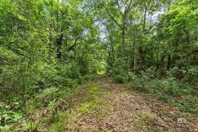 24928 County Road 71, Robertsdale, AL 36567 - Photo 46