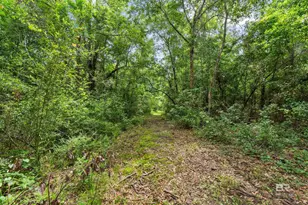 24928 Co Rd 71, Robertsdale, AL 36567 - Photo 46