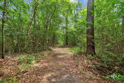 24928 County Road 71, Robertsdale, AL 36567 - Photo 44
