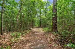 24928 Co Rd 71, Robertsdale, AL 36567 - Photo 44