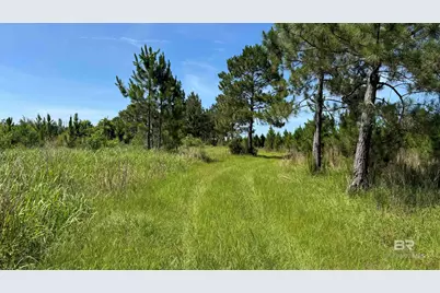 0 County Road 87, Elberta, AL 36530 - Photo 34