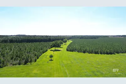 0 County Road 87, Elberta, AL 36530 - Photo 2