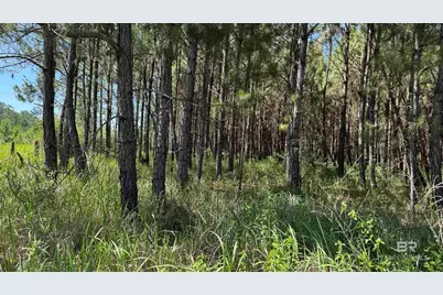 0 County Road 87, Elberta, AL 36530 - Photo 32