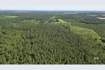 0 County Road 87, Elberta, AL 36530 - Photo 16