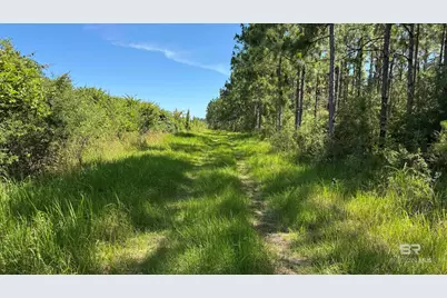 0 County Road 87, Elberta, AL 36530 - Photo 28