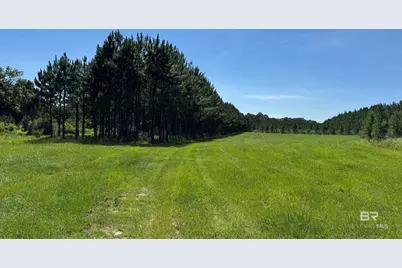 0 County Road 87, Elberta, AL 36530 - Photo 36
