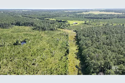 0 County Road 87, Elberta, AL 36530 - Photo 12