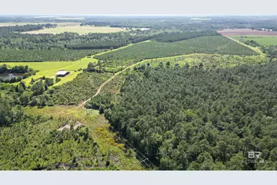 0 County Road 87, Elberta, AL 36530 - Photo 8