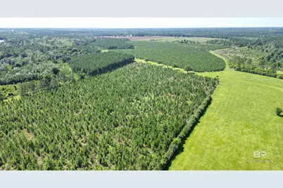0 County Road 87, Elberta, AL 36530 - Photo 18