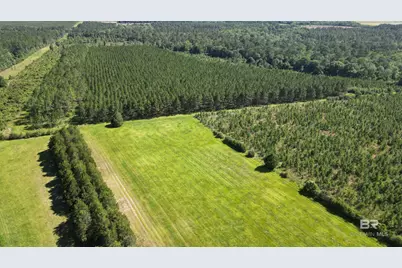 0 County Road 87, Elberta, AL 36530 - Photo 10
