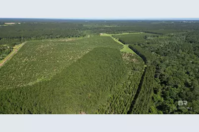 0 County Road 87, Elberta, AL 36530 - Photo 46