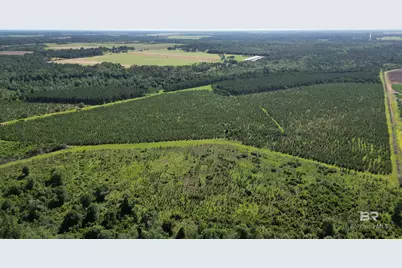 0 County Road 87, Elberta, AL 36530 - Photo 1