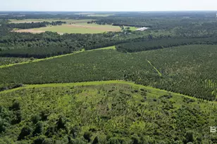 0 County Road 87, Elberta, AL 36530 - Photo 1