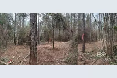 0 Roberts Chapel Road, Mobile, AL 36608 - Photo 8