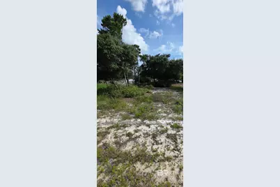 Pine Run Drive, Orange Beach, AL 36561 - Photo 2