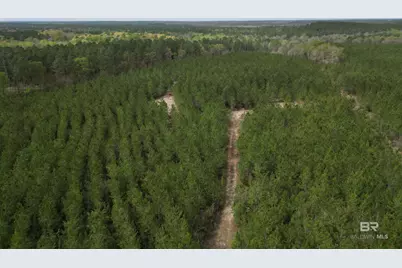 1000 Blk Highway 97, Molino, FL 32577 - Photo 8