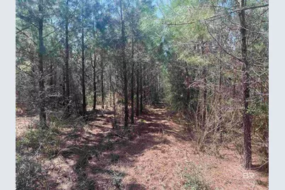 1000 Blk Highway 97, Molino, FL 32577 - Photo 4