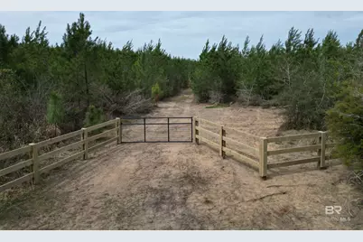1000 Blk Highway 97, Molino, FL 32577 - Photo 6