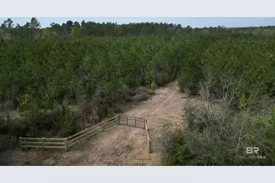 1000 Blk Highway 97, Molino, FL 32577 - Photo 2