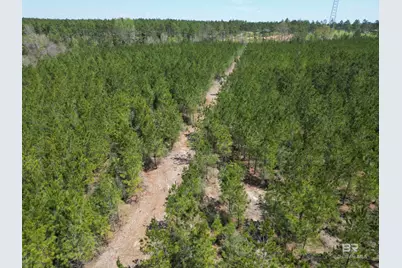 1000 Blk Highway 97, Molino, FL 32577 - Photo 14