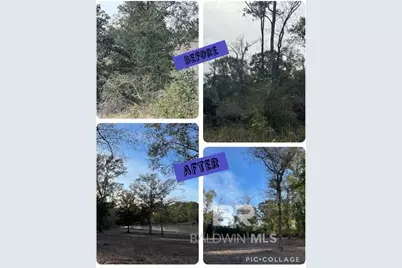 12541 Frondfield Lane, Elberta, AL 36530 - Photo 4