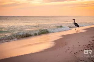 3760 Blue Heron Dr, Gulf Shores, AL 36542 - Photo 52