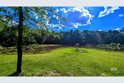 6648 Saint Stephens Avenue, Millry, AL 36558 - Photo 46