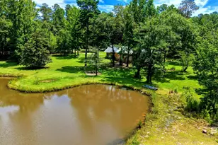 6648 St Stephens Ave, Millry, AL 36558 - Photo 40
