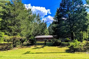 6648 St Stephens Ave, Millry, AL 36558 - Photo 68