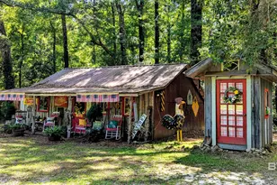 136 Jones Dr, Millry, AL 36558 - Photo 46