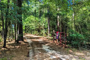 136 Jones Dr, Millry, AL 36558 - Photo 96