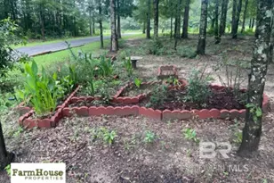 29146 County Rd 68 Ext, Robertsdale, AL 36567 - Photo 30