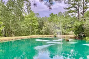 21305 River Rd, Robertsdale, AL 36567 - Photo 2