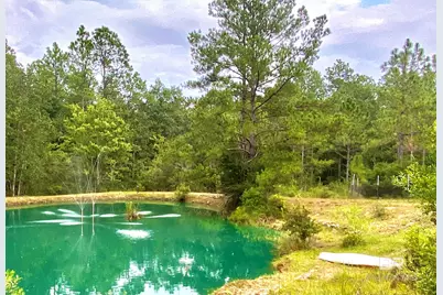 21305 River Road, Robertsdale, AL 36567 - Photo 20