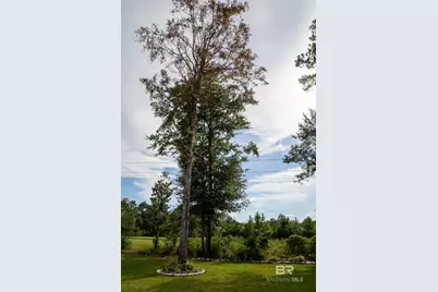 9505 Vargas Court, Daphne, AL 36526 - Photo 60