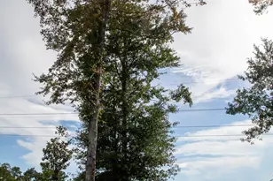 9505 Vargas Ct, Daphne, AL 36526 - Photo 60
