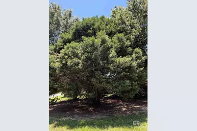 121 Windsor Drive, Daphne, AL 36526 - Photo 22